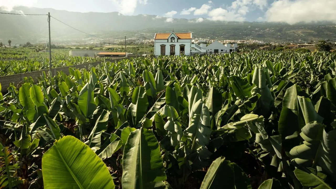 Hacienda Los Orovales Puerto de la Cruz  Spain